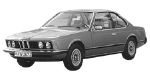 BMW E24 P396B Fault Code